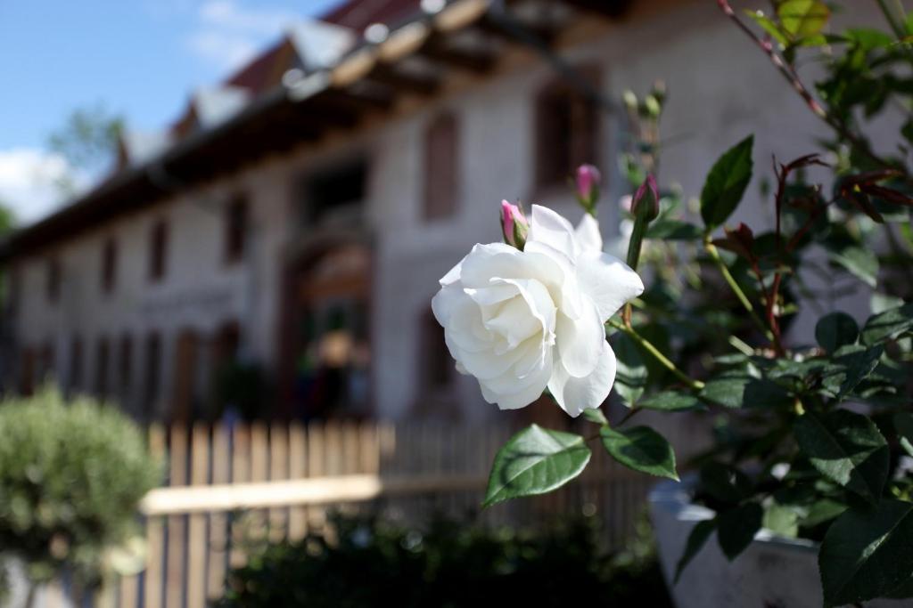 Hotel Rainhof Scheune & Naturpark Restaurant เคียร์ชซาร์เทิน ภายนอก รูปภาพ