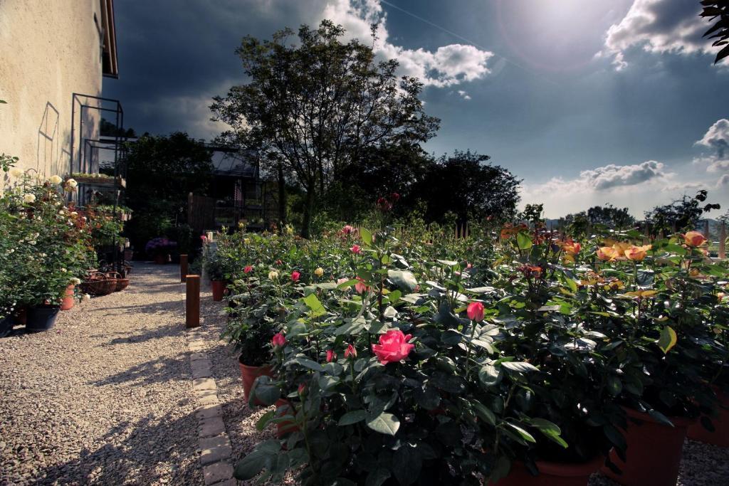 Hotel Rainhof Scheune & Naturpark Restaurant เคียร์ชซาร์เทิน ภายนอก รูปภาพ